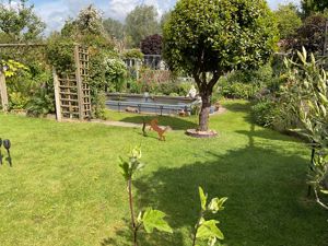 Garden- click for photo gallery